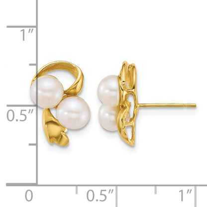 14k Polished 5-6mm Button White Freshwater Cultured 2-Pearl Post Earrings