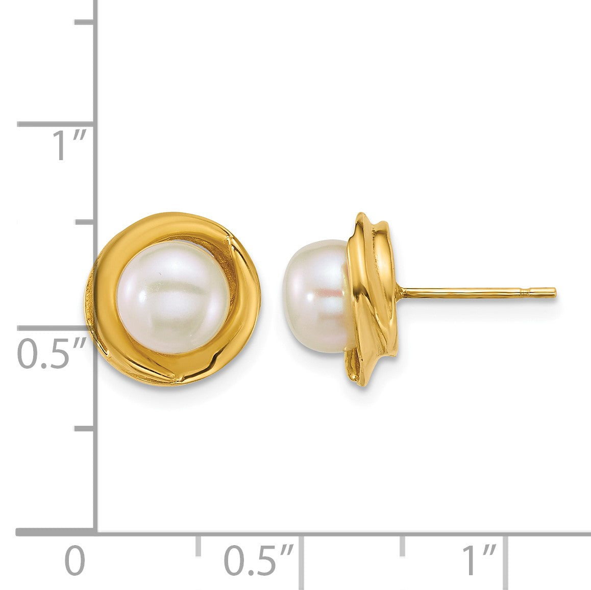 14k Polished 6-7mm Button White Freshwater Cultured Pearl Post Earrings