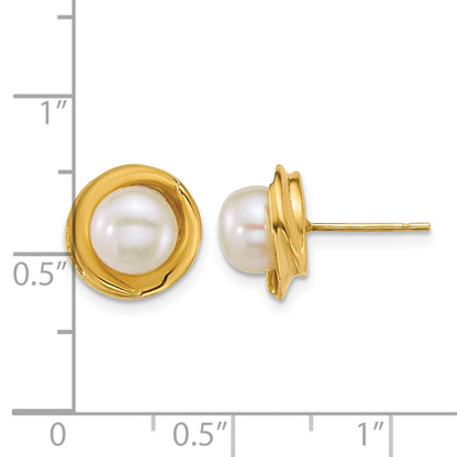 14k Polished 6-7mm Button White Freshwater Cultured Pearl Post Earrings