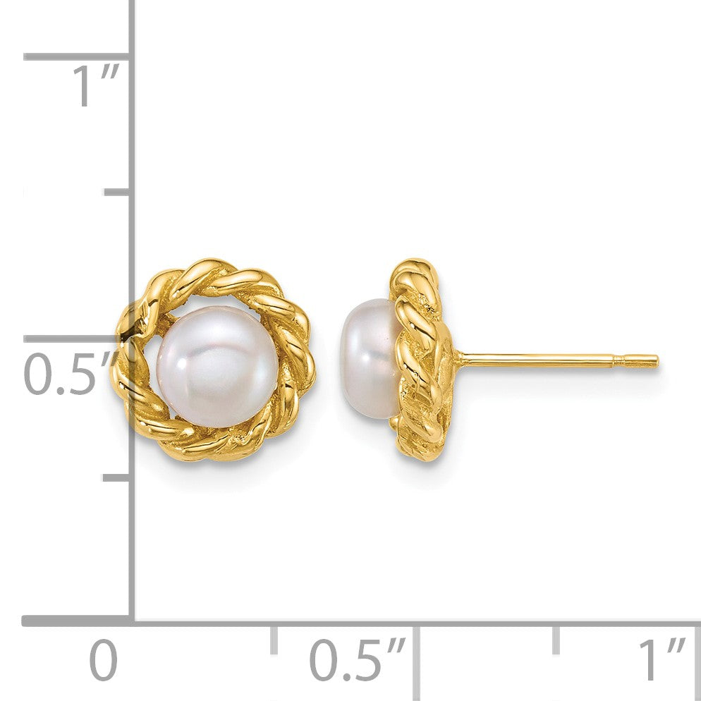 14k Polished 5-6mm Button White Freshwater Cultured Pearl Twisted Edge Post Earrings