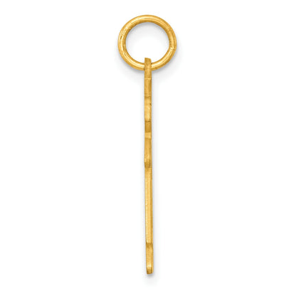 Sterling Silver Gold-plated Class of 2025 Boy Cuddle Charm