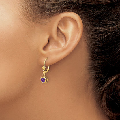 14k 5mm Round Amethyst Bezel Leverback Dangle Earrings