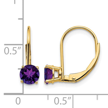 14k 5mm Round Amethyst Leverback Earrings