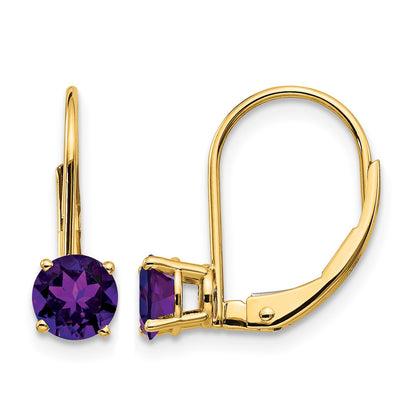 14k 5mm Round Amethyst Leverback Earrings