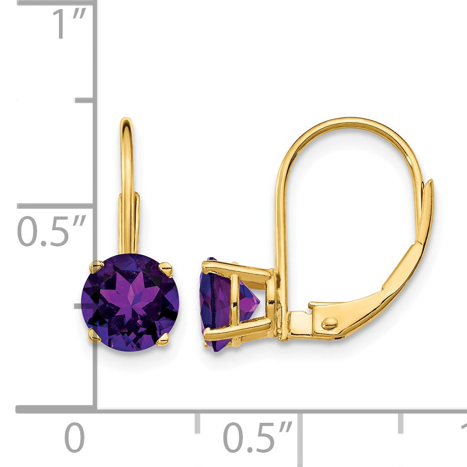 14k 6mm Round Amethyst Leverback Earrings