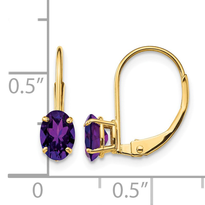 14k 6x4mm Oval Amethyst Leverback Earrings