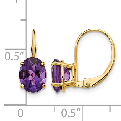 14k 8x6mm Oval Amethyst Leverback Earrings