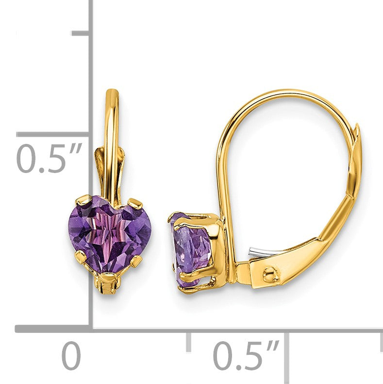 14k 5mm Heart Amethyst Leverback Earrings