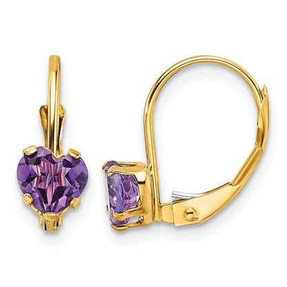 14k 5mm Heart Amethyst Leverback Earrings