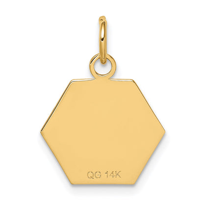 14k 15mm Hexagon Red Enameled Medical Jewelry Pendant