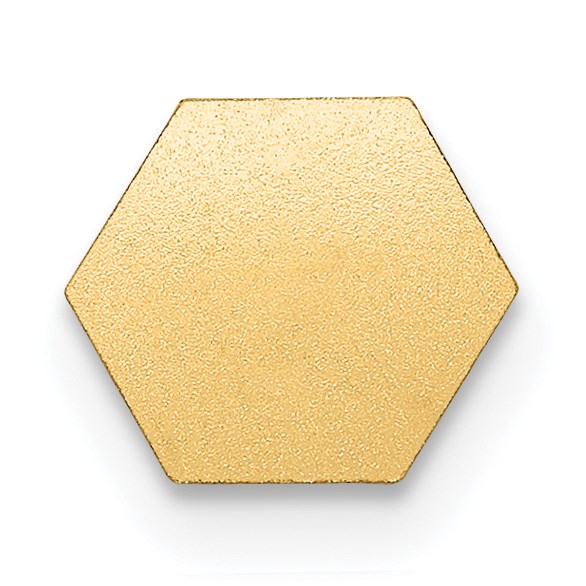 14k 6mm Hexagon Non-enameled Attachable Medical Jewelry Emblem