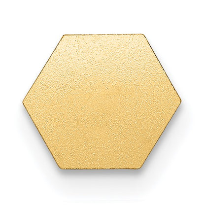14k 6mm Hexagon Non-enameled Attachable Medical Jewelry Emblem