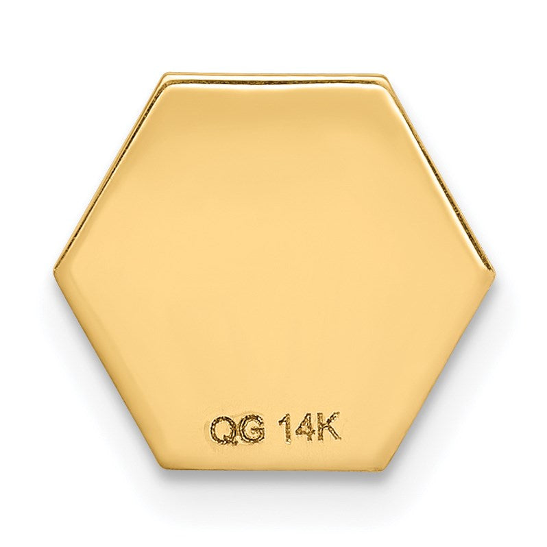 14k 9.5mm Hexagon Non-enameled Attachable Medical  Jewelry Emblem