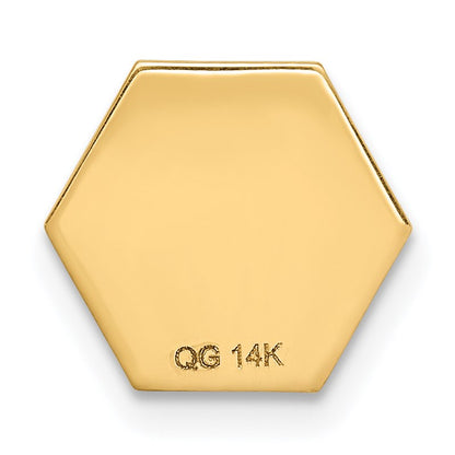 14k 9.5mm Hexagon Non-enameled Attachable Medical  Jewelry Emblem
