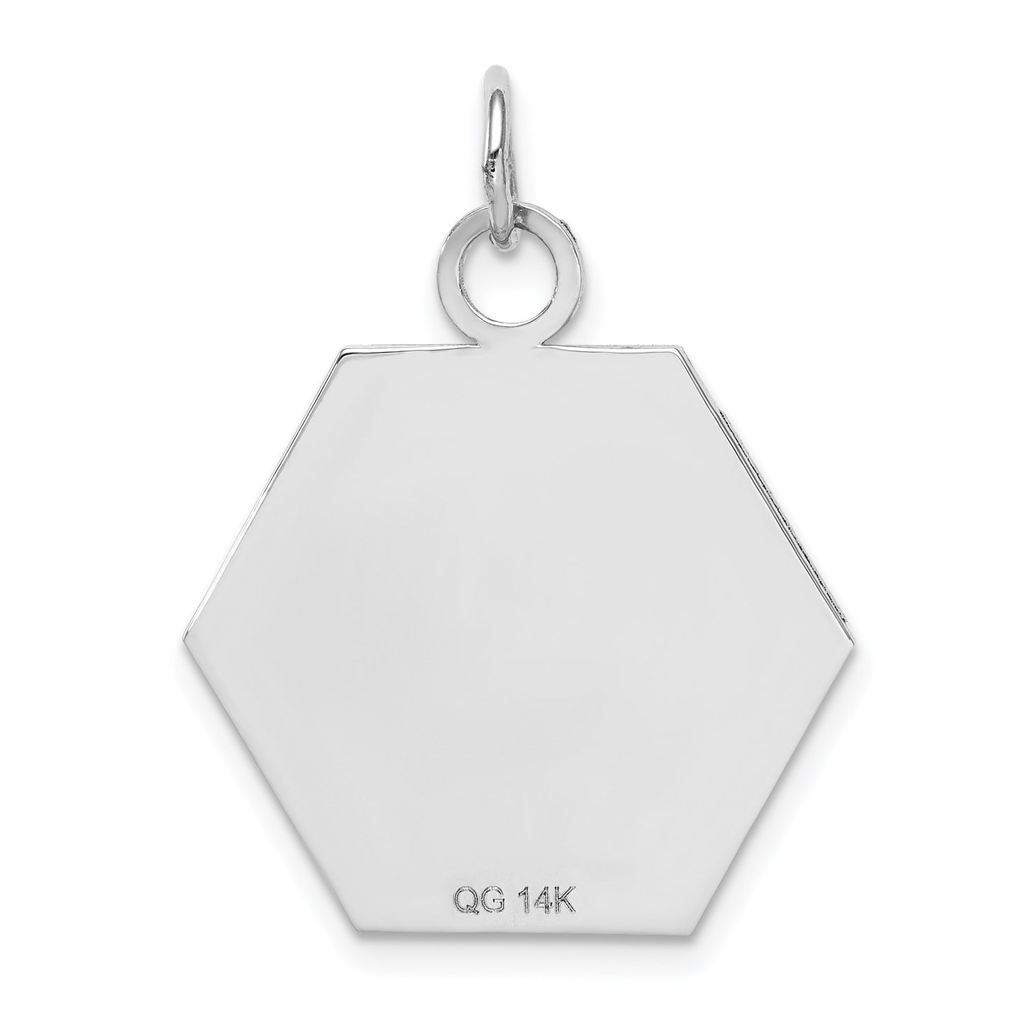 14k White Gold 22.5mm Hexagon Red Enameled Medical Jewelry Pendant