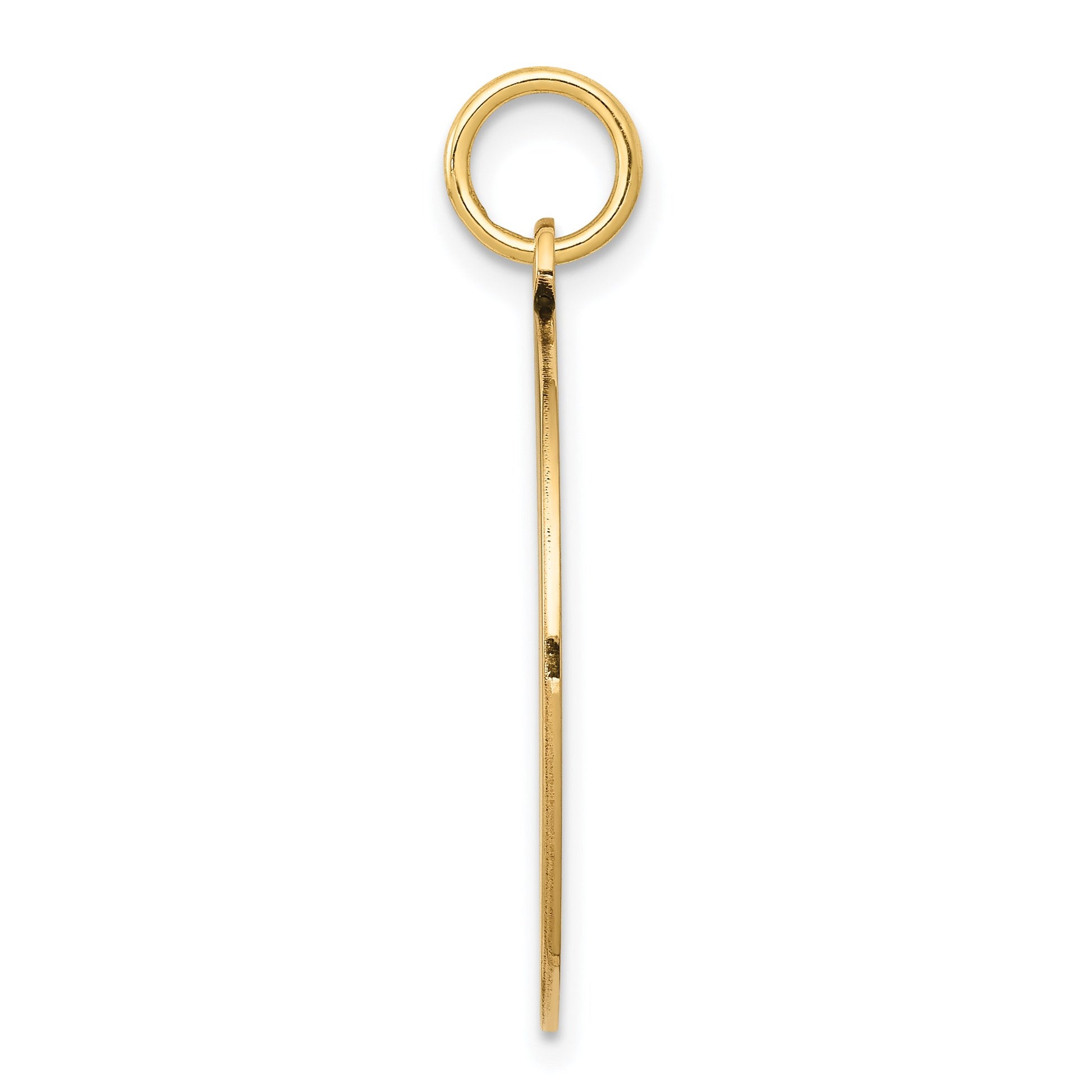 14k with Black Enamel Edge .027 Gauge Round Engravable 23mm Disc Charm