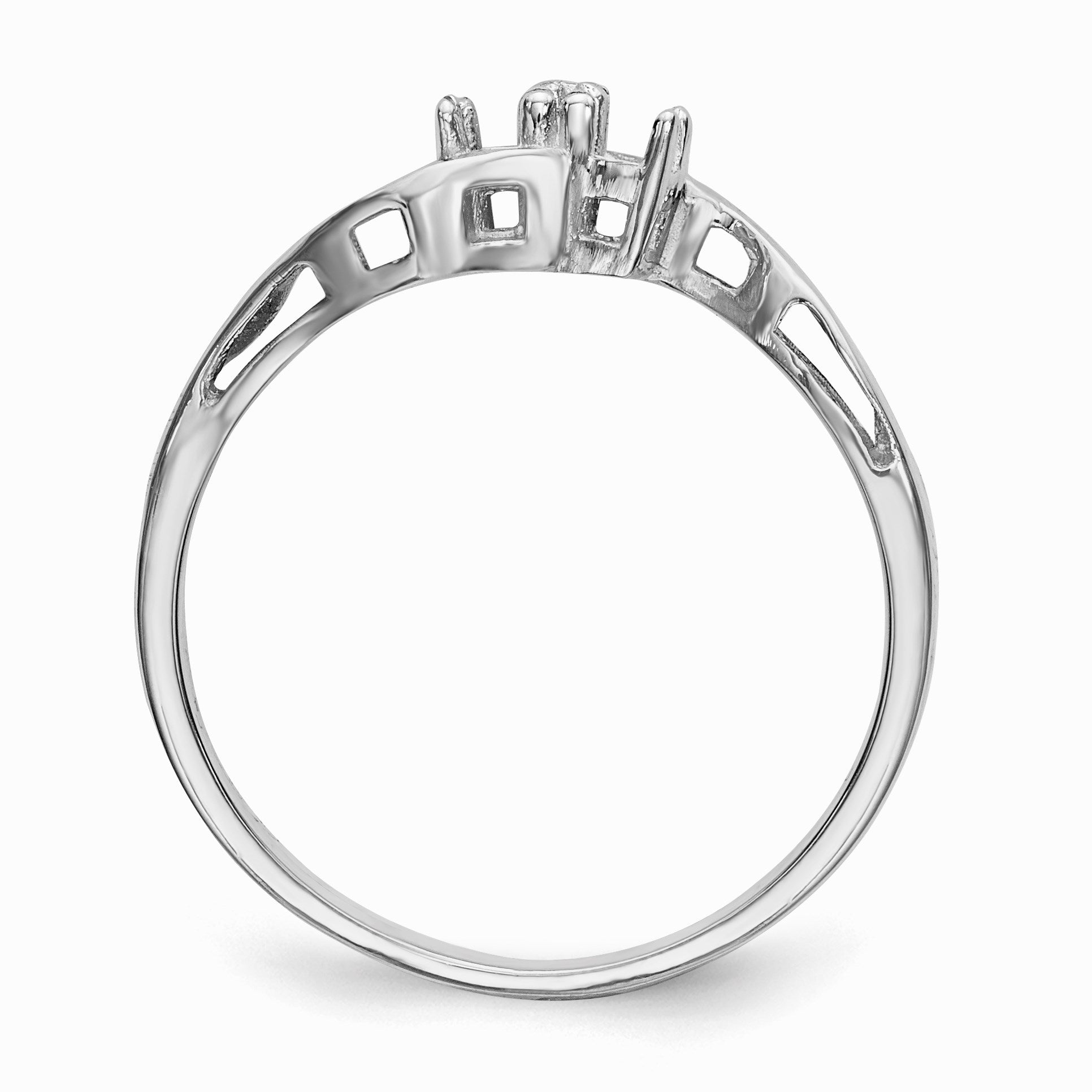 14k White Gold Family Jewelry Ring Mounting
