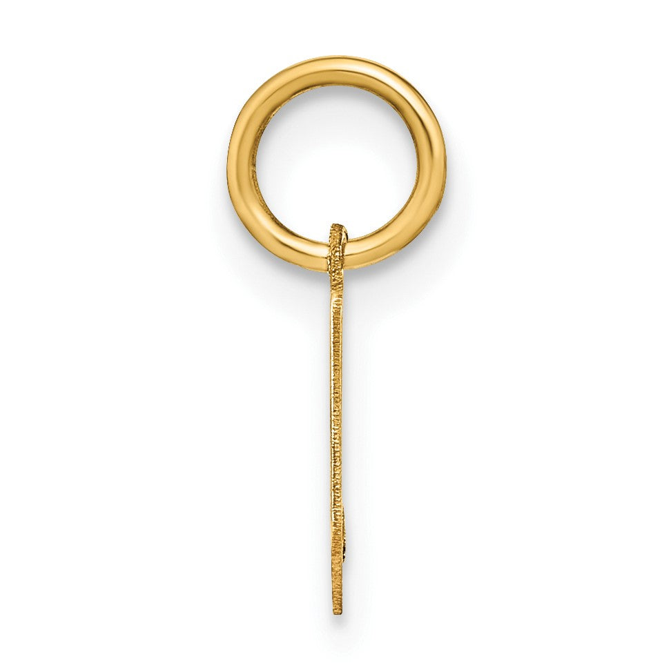 14ky Lowercase Letter V Initial Pendant