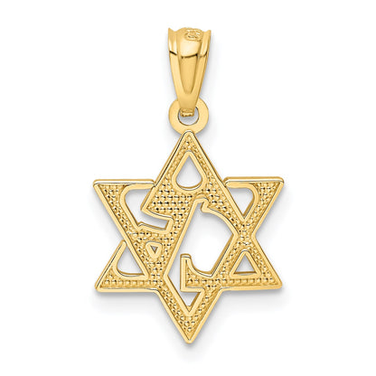 14k Polished and Textured Star of David Pendant