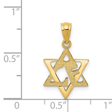 14k Polished and Textured Star of David Pendant
