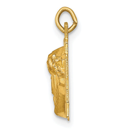 14k Hollow Polished and Satin Small Jesus Cross Medal