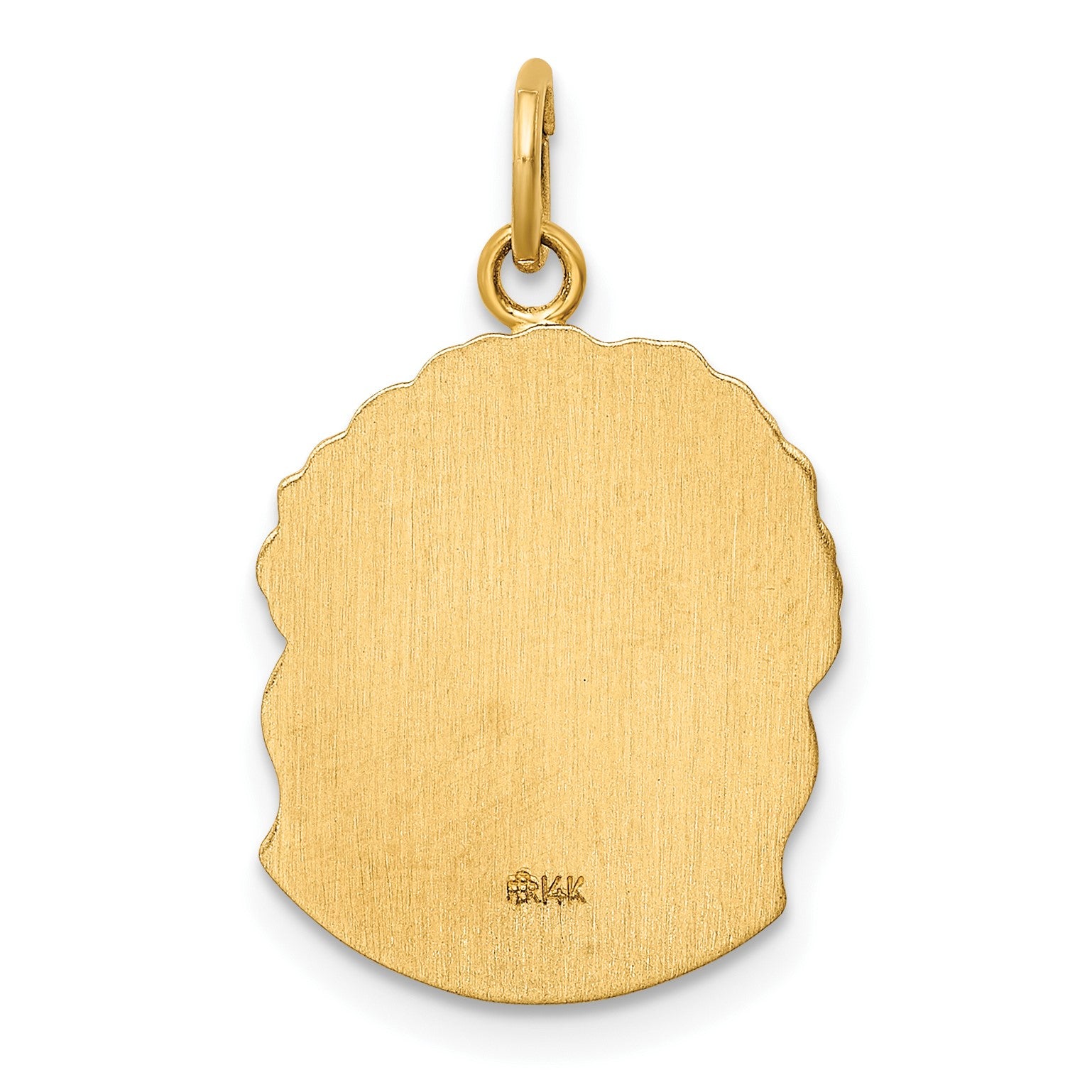 14k Hollow Polished and Satin Medium Jesus Medal