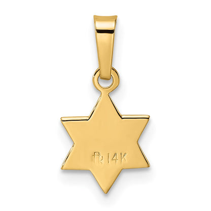 14k Polished & Textured Solid Star of David Pendant