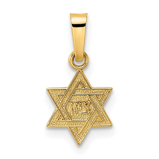 14k Polished & Textured Solid Star of David Pendant