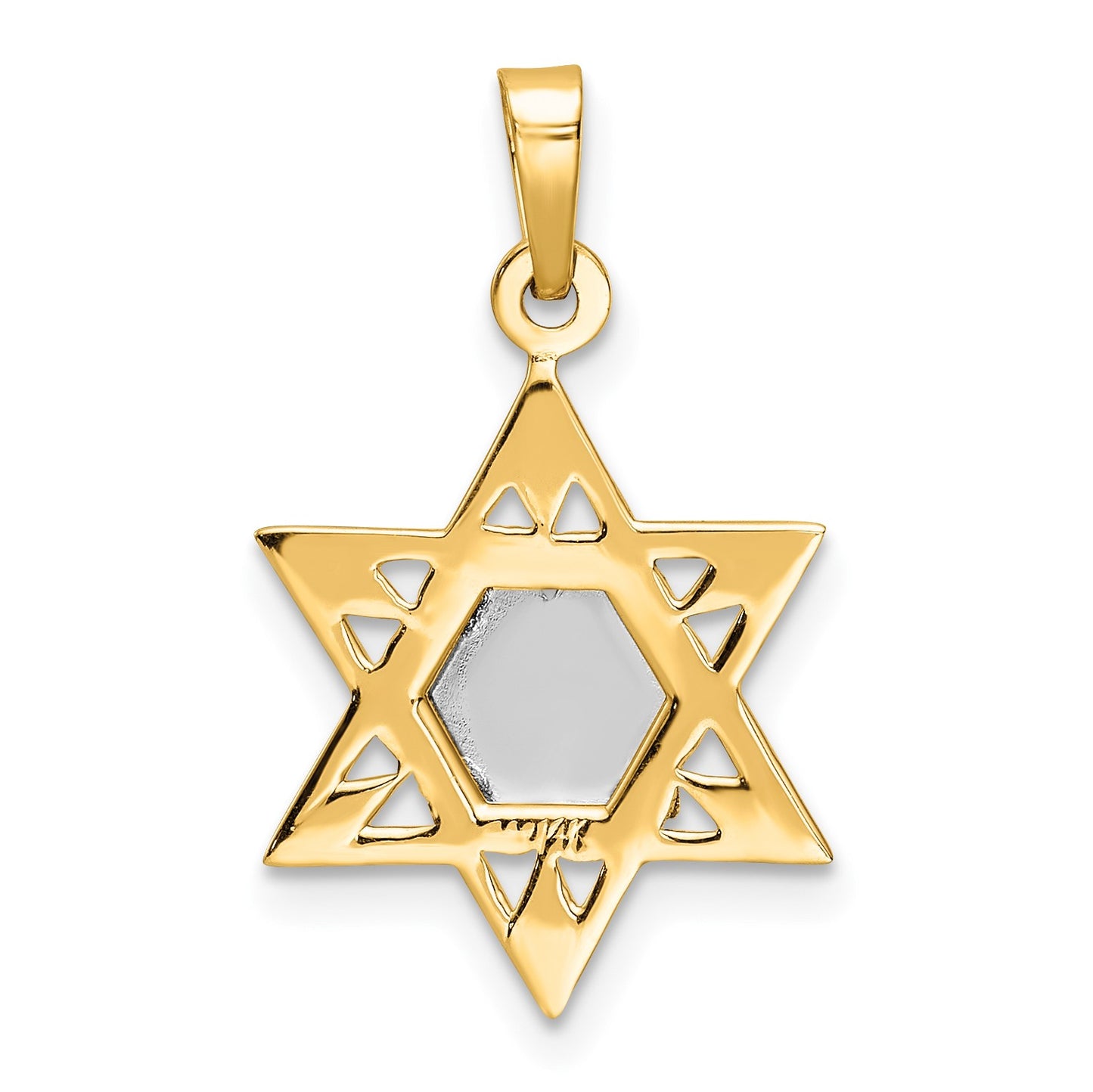 14k Two-tone Polished Solid Star of David and Torah Pendant