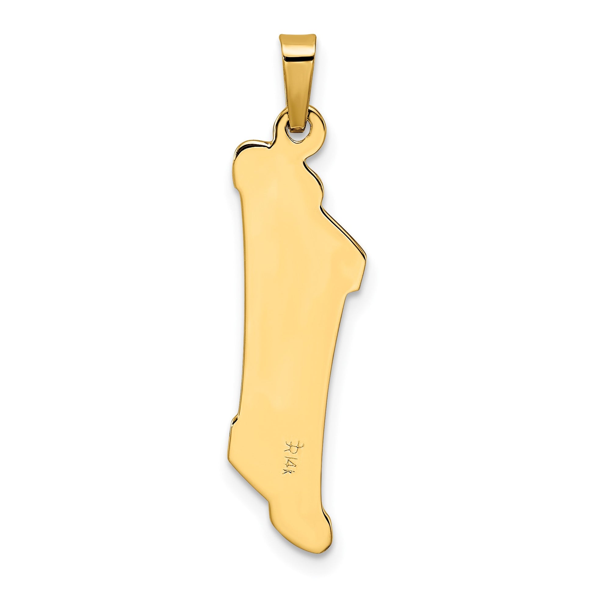 14k Two-tone Polished and Textured Hollow Torah Scroll with Star of David Pendant