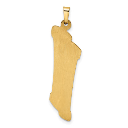 14k Two-tone Polished and Textured Hollow Torah Scroll with Star of David Pendant