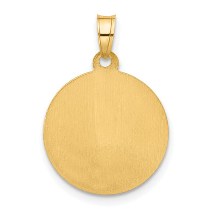 14k Polished and Satin Hollow Our Lady of Mt. Carmel Medal Round Pendant