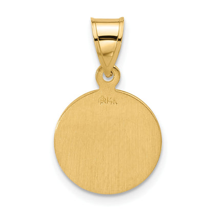 14k Polished and Satin Solid Miraculous Medal Plain Back Pendant