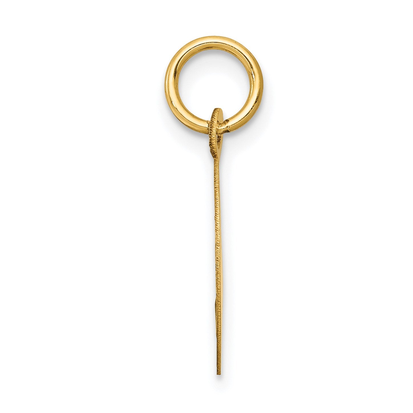 14k Polished and Satin Solid HOLY COMMUNION Diamond-cut Edge Round Disc Charm