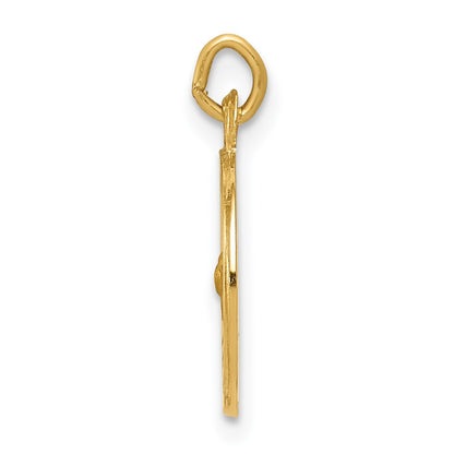 14k Polished and Satin Solid Holy Spirit Medal Charm