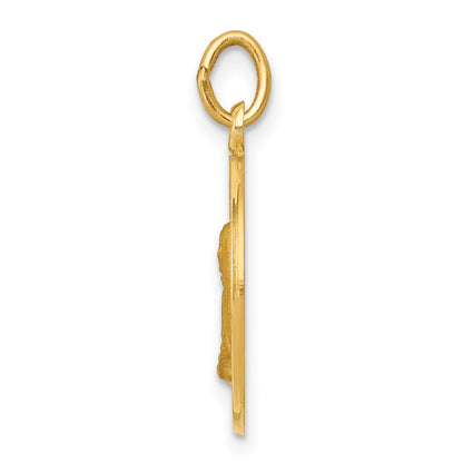 14k Polished and Satin Solid Mother Cabrini Medal Round Charm
