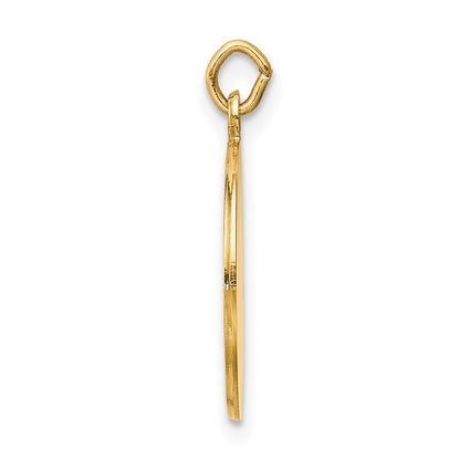 14k Polished and Satin Solid Saint Roch Medal Round Charm