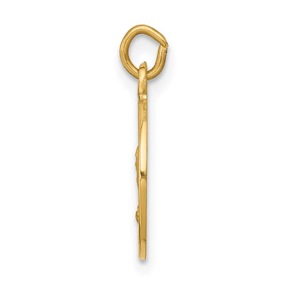 14k Polished and Satin Solid Saint Andrew Medal Charm