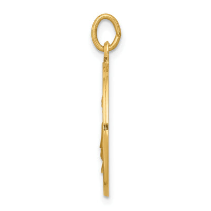 14k Polished and Satin Solid Saint Elizabeth Seton Medal Round Pendant