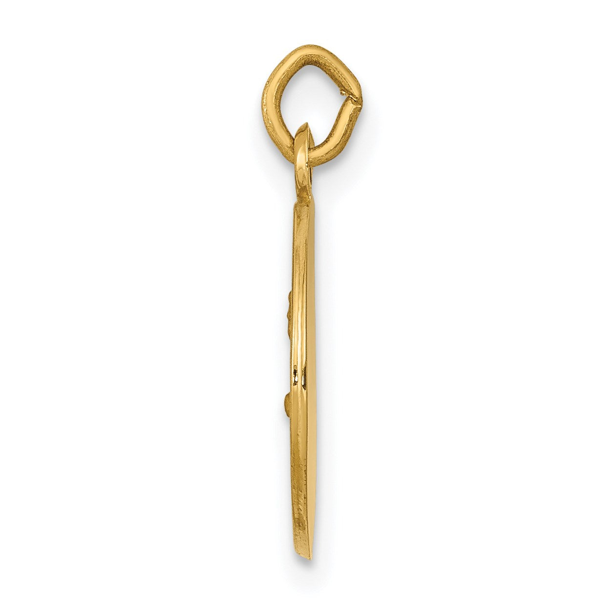 14k Polished and Satin Solid Saint John Medal Round Charm