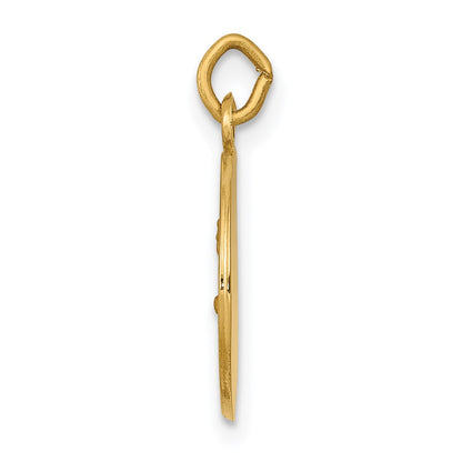 14k Polished and Satin Solid Saint John Medal Round Charm