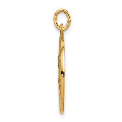 14k Polished and Satin Solid Saint Peter Medal Round Pendant