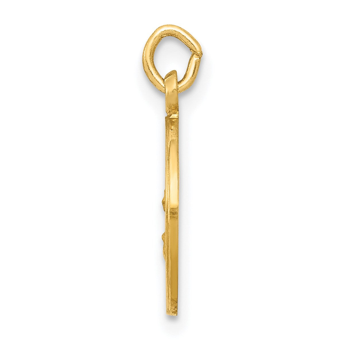 14k Polished and Satin Solid Our Lady Of The Assumption Medal Round Charm