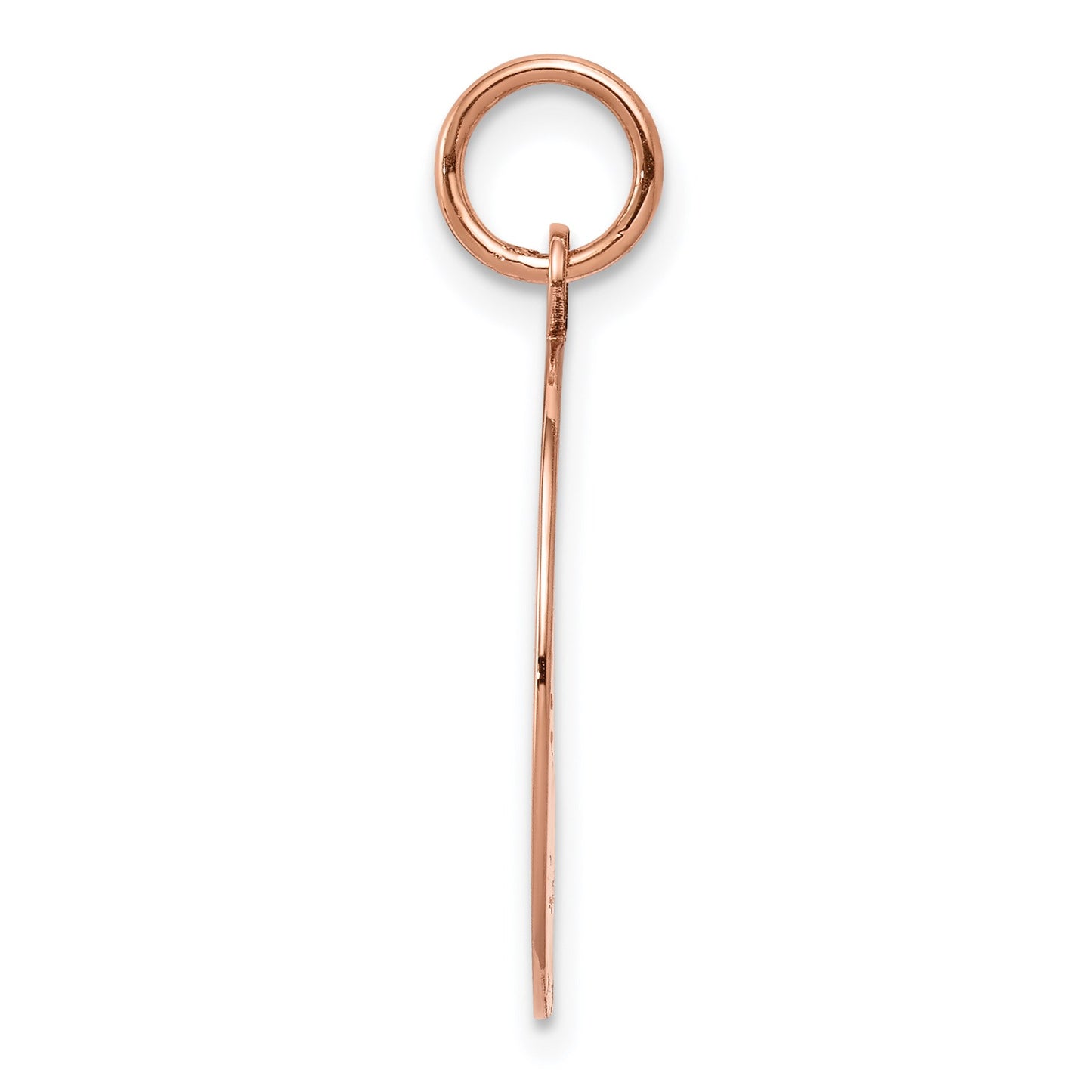 14k Rose Gold Plain .011 Gauge Round Engravable 18mm Disc Charm