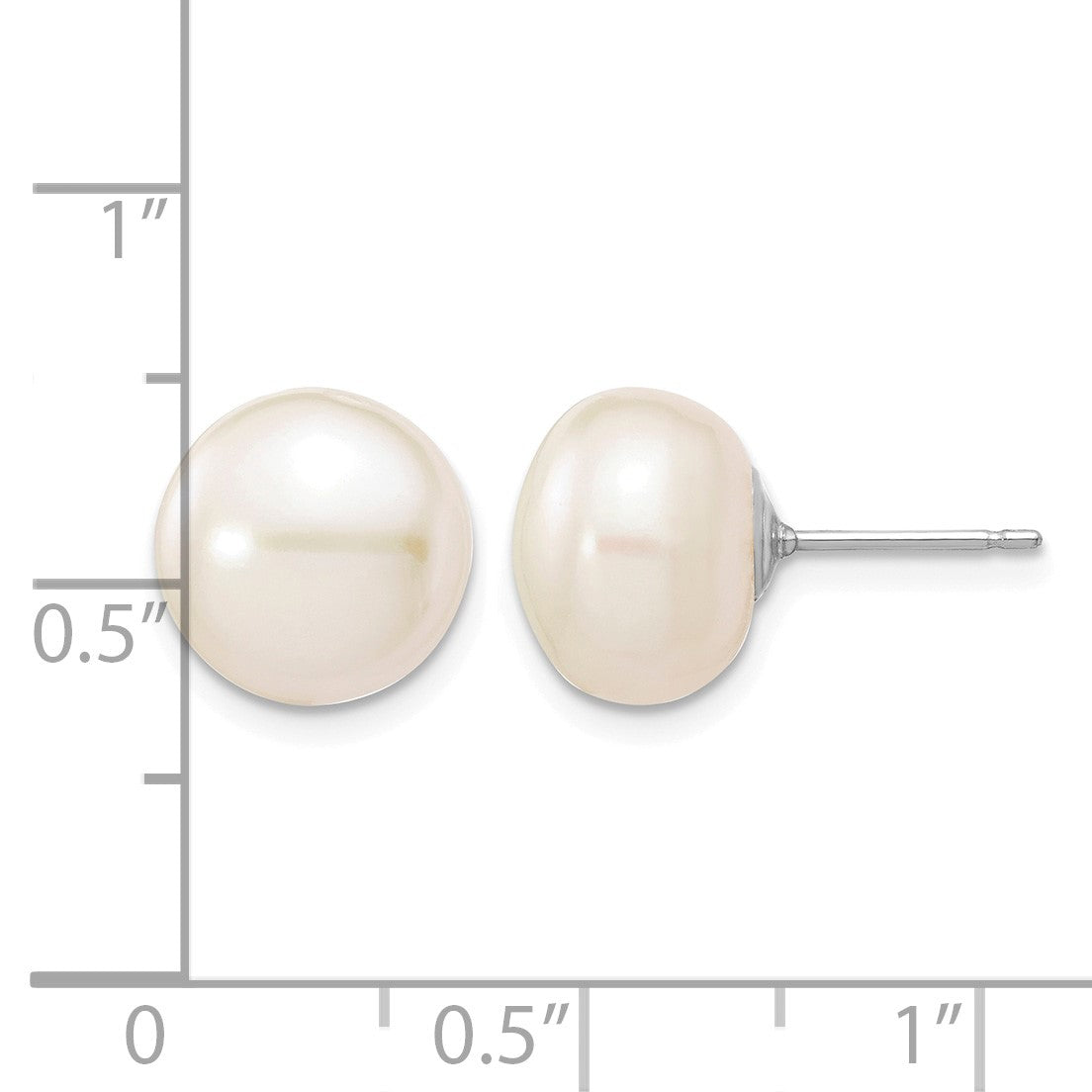 14k White Gold 10-11mm White Button Freshwater Cultured Pearl Stud Post Earrings