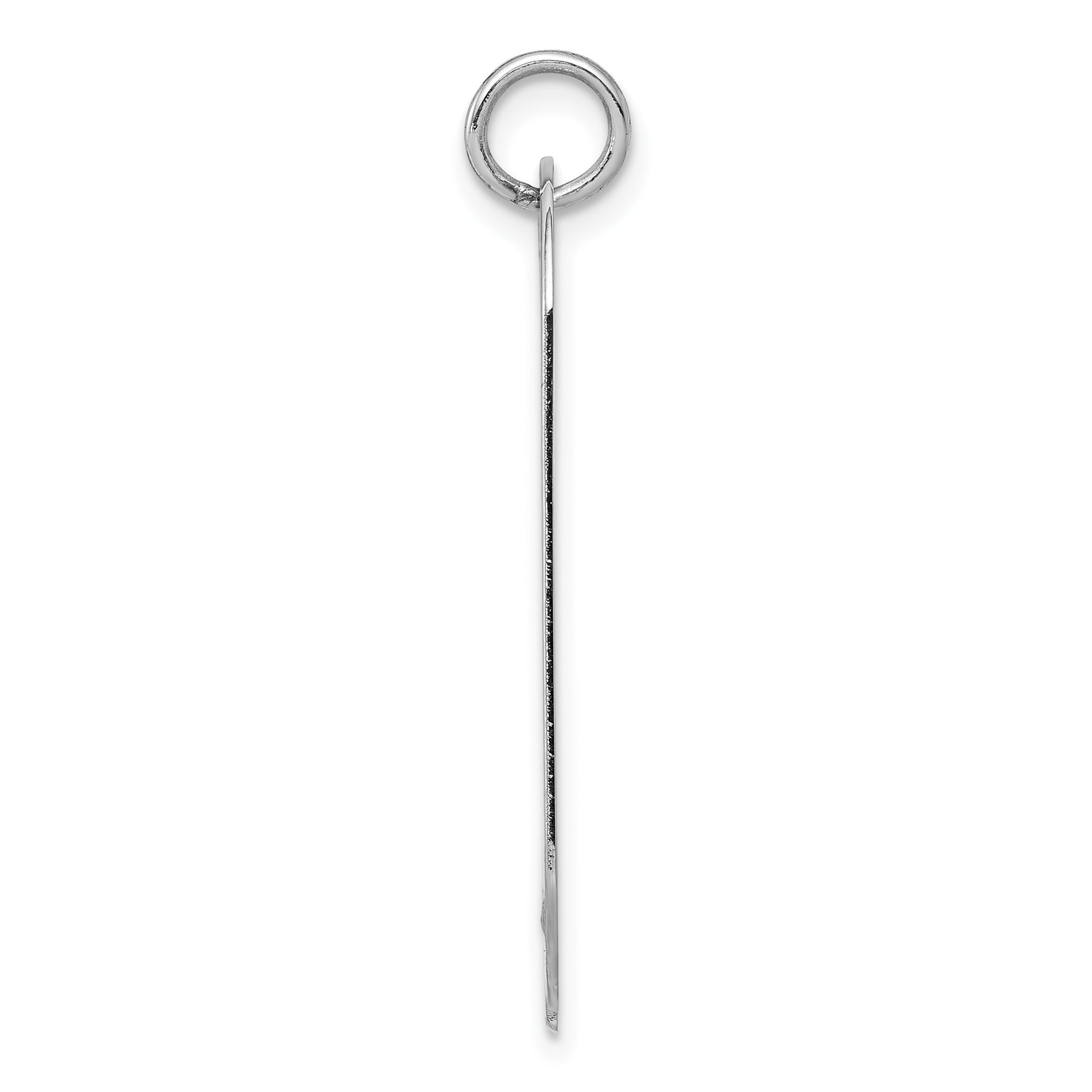 14k White Gold Plain 30x16mm .018 Gauge Engravable Dog Tag w/Notch Disc