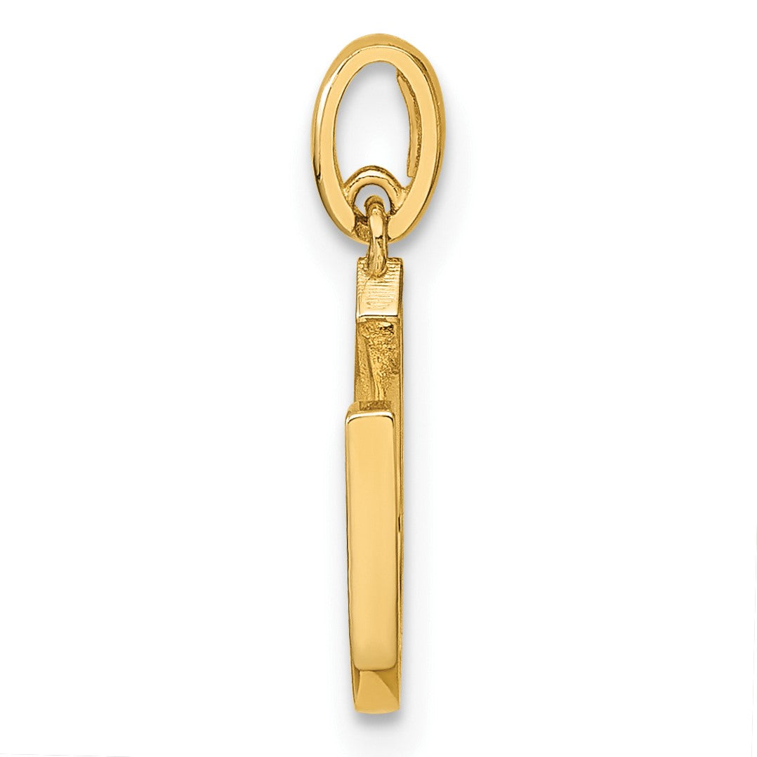 14k CZ Horseshoe Childrens Pendant