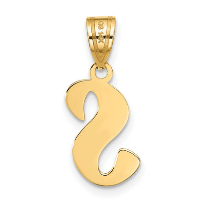 14k Polished Script Letter S Initial Pendant