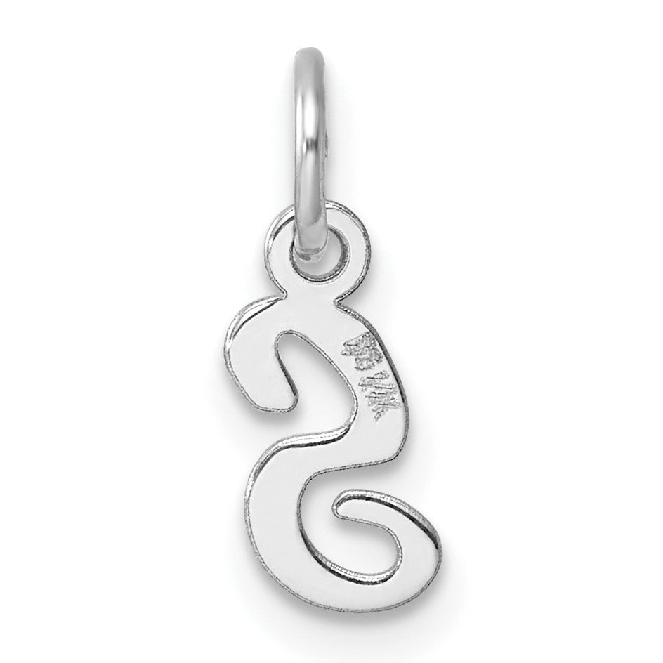 14k White Gold Small Script Letter S Initial Charm