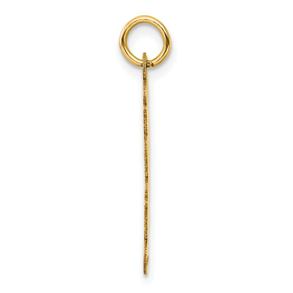 14K Polished and Satin Vertical 2025 Charm